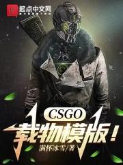 CSGO：载物模版！